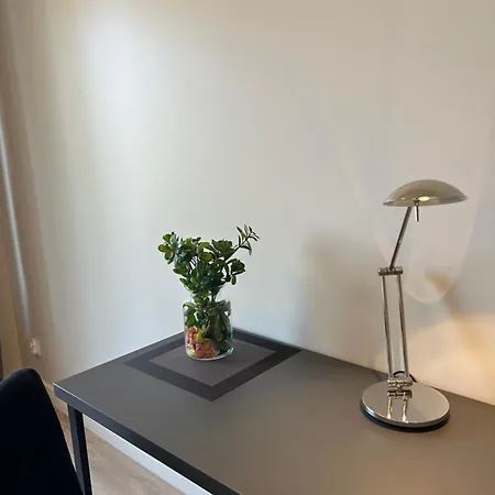 Penthouse Apartman *